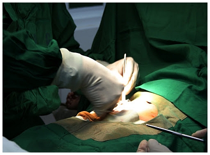 Minimal-Invasive<br/>Gelenkchirurgie
